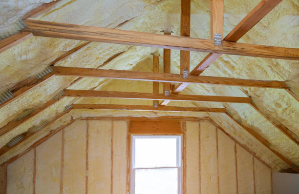 Best Specialized Insulation Services in Ceredo, WV
