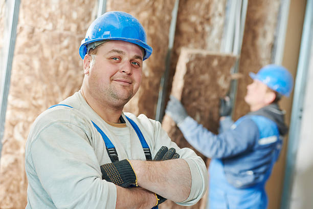 Best Cellulose Insulation in Ceredo, WV