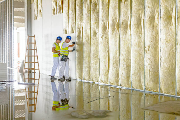 Best Fiberglass Insulation in Ceredo, WV